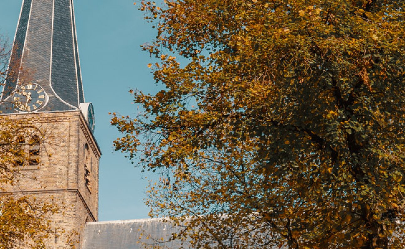 Vacatures in Rijswijk