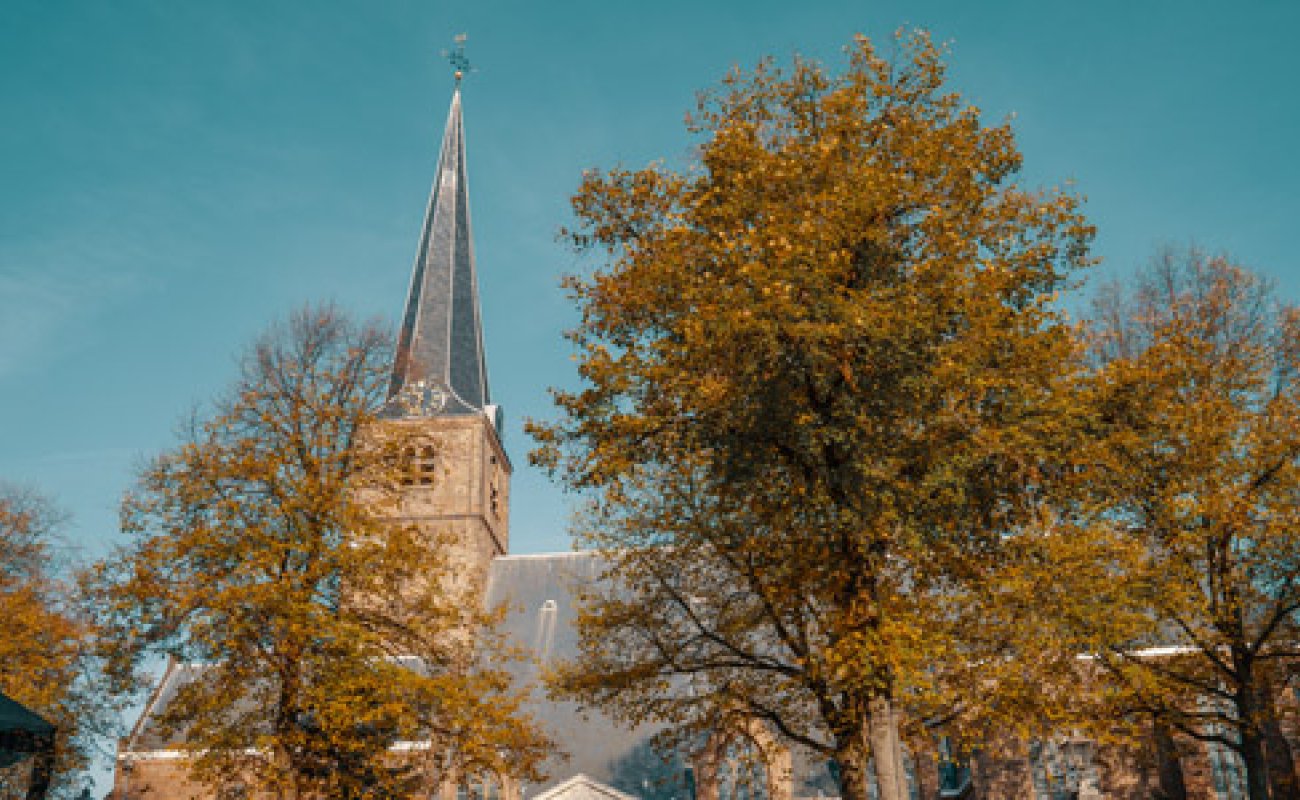 Vacatures in Rijswijk