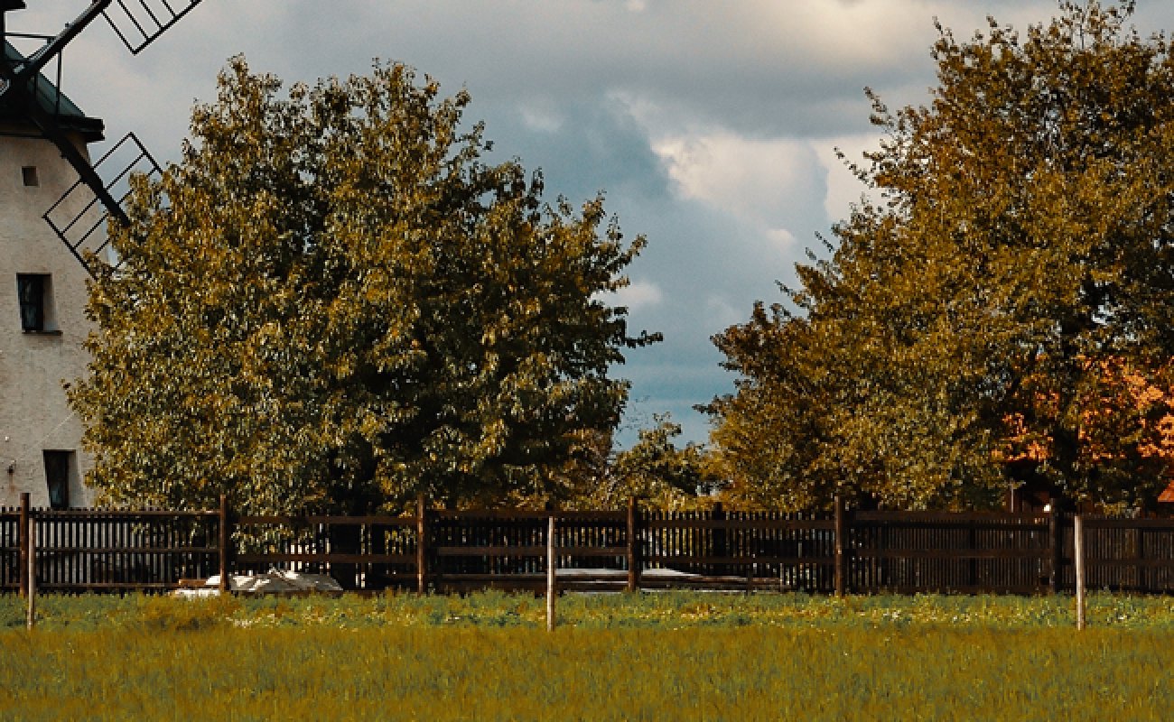website header provincies friesland