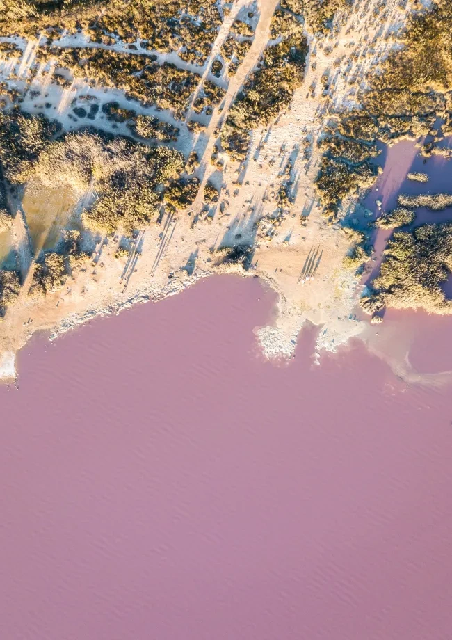 Laguna Rosa in Torrevieja in Spanje